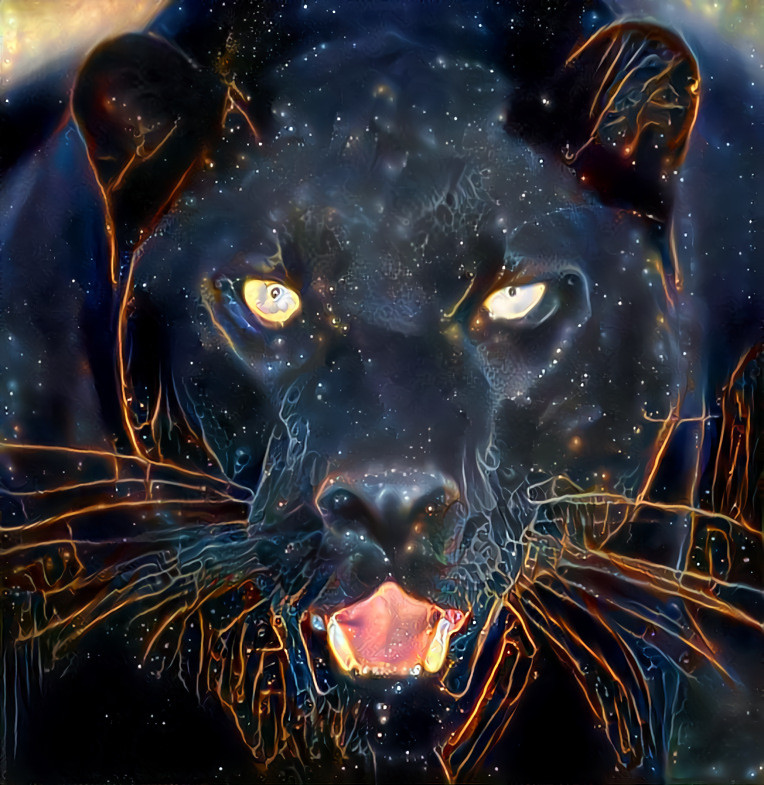 Black Jaguar