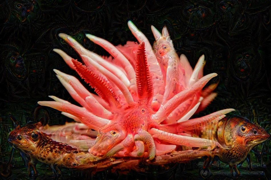 Pink nudibranch mutant (base image by Mike Bartick, saltwaterphoto.com)