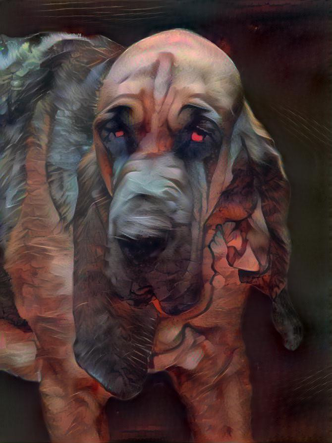 My bloodhound Pearleen