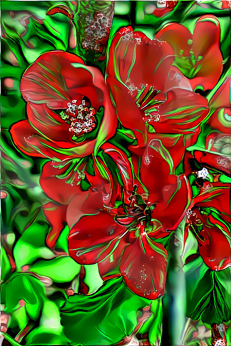 Chaenomeles 1 fractals 53