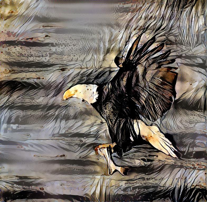 Bald Eagle and fish