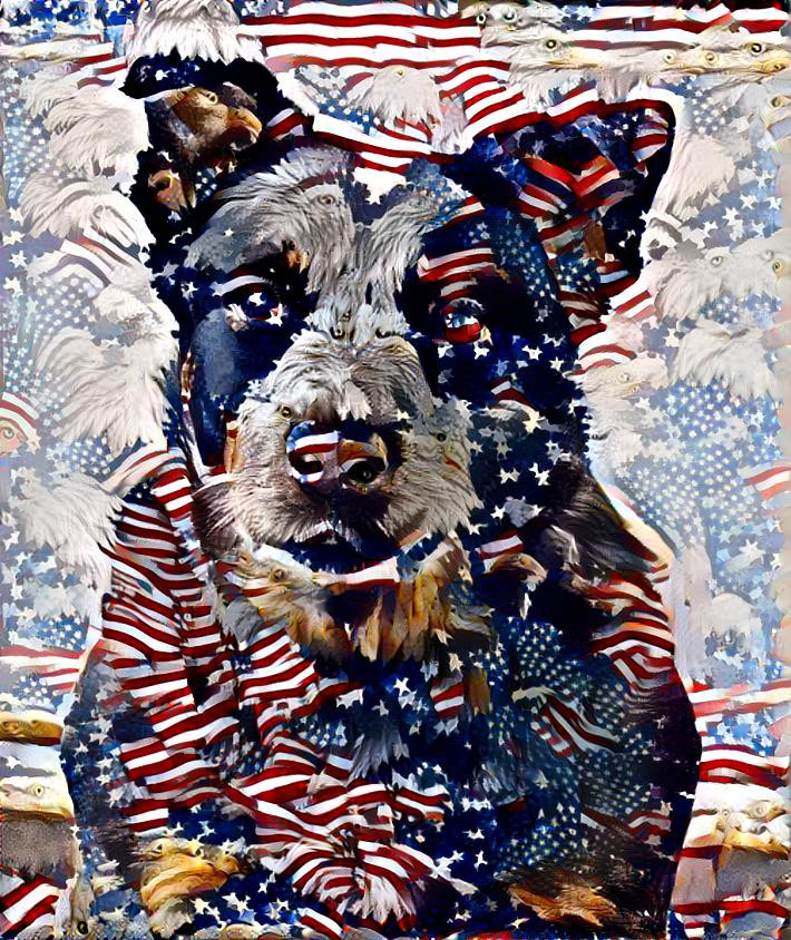 red,white,blueacd