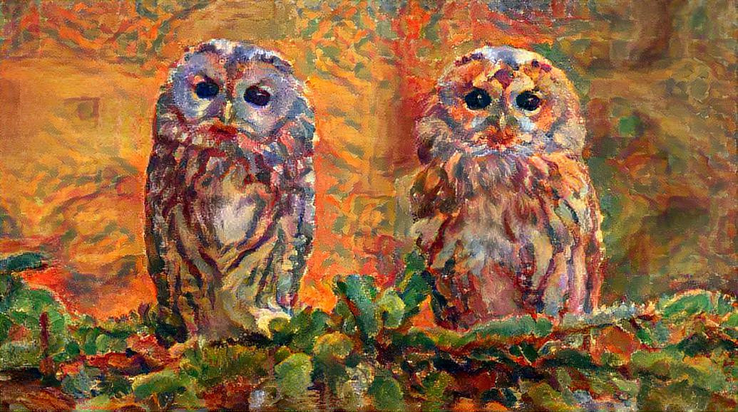 Two Owls