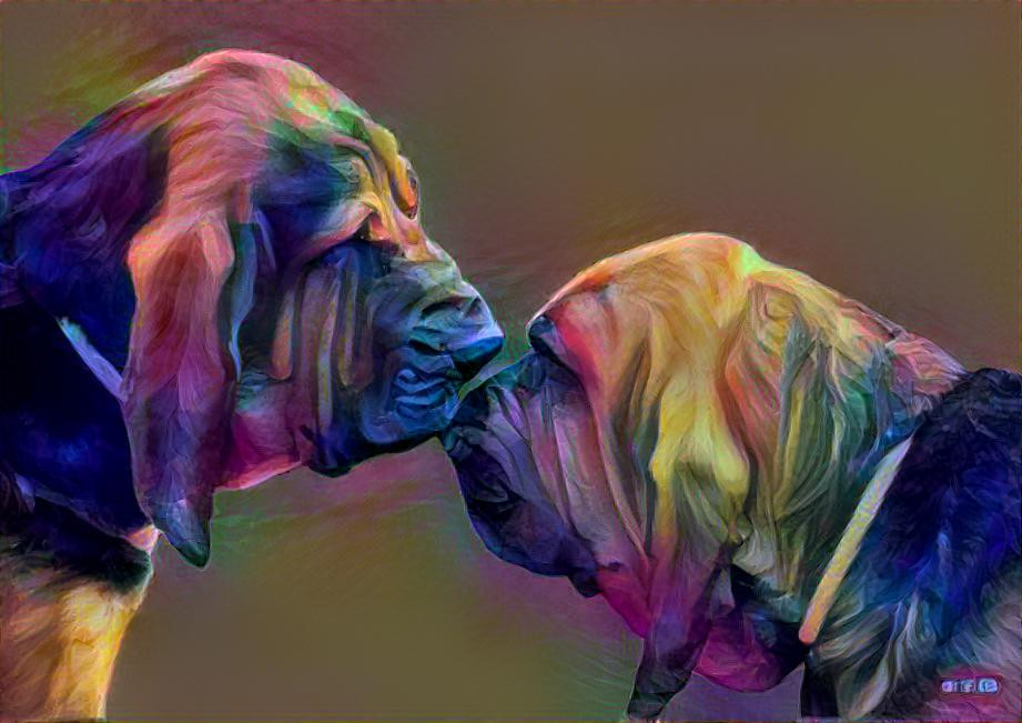 My bloodhounds: Vondracek & Mary