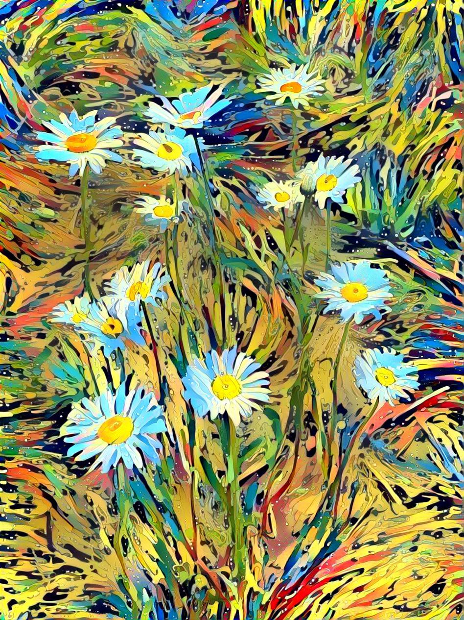 Daisies II