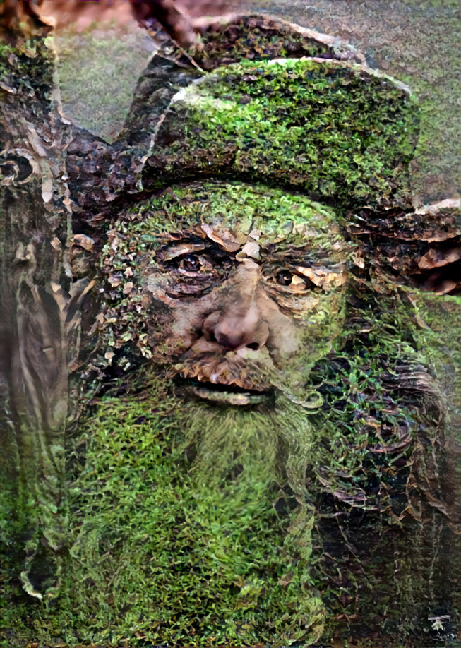 Radagast The Brown