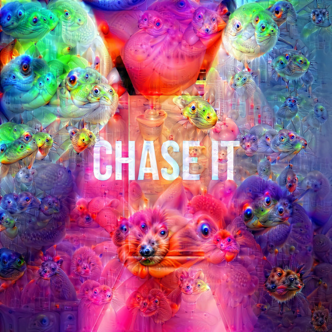 chase it