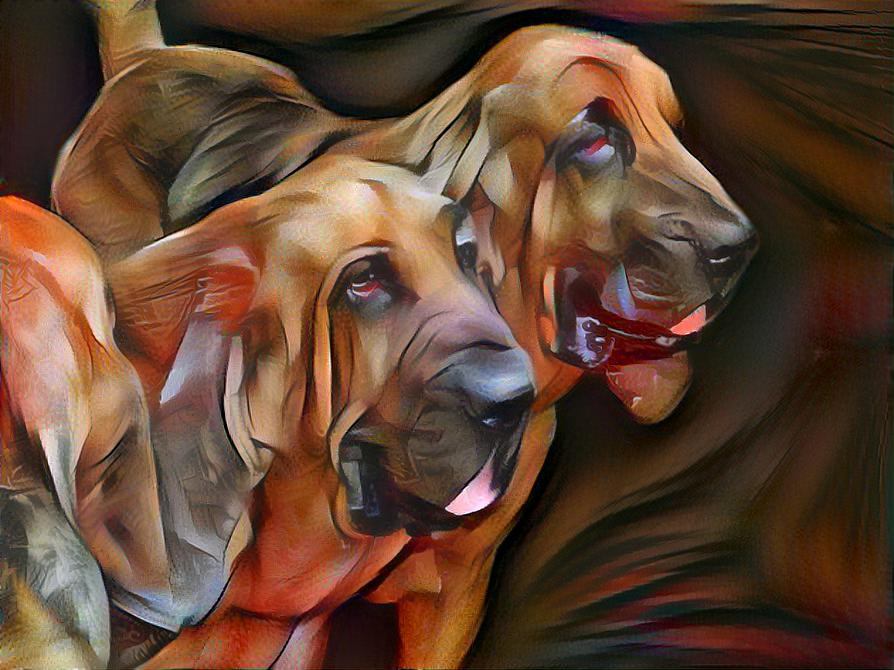 My bloodhound boys: Bertie & Robinson