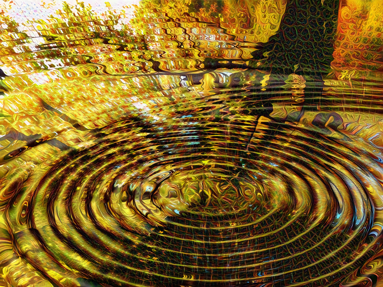 Tree Ring Reflections