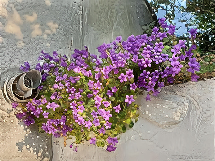 Wild Campanula