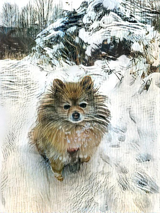 Foxie im Schnee