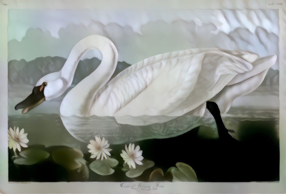 Swan Song (photo from raw pixel)