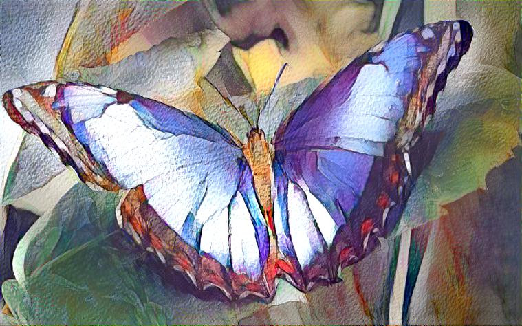 Butterfly