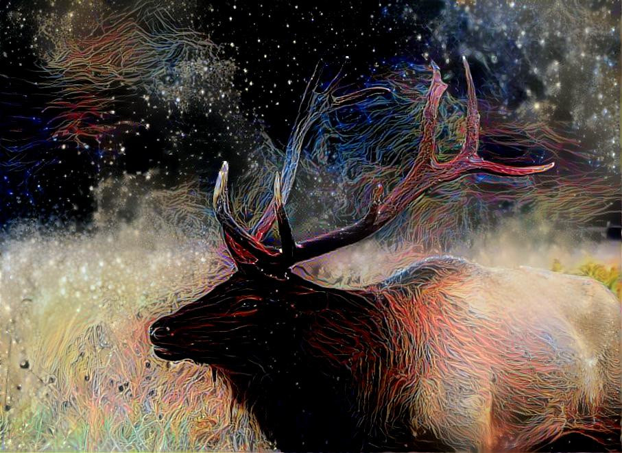 Elk