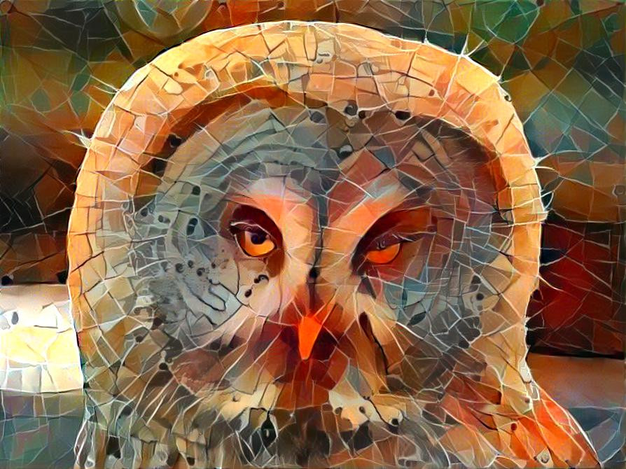 Owl