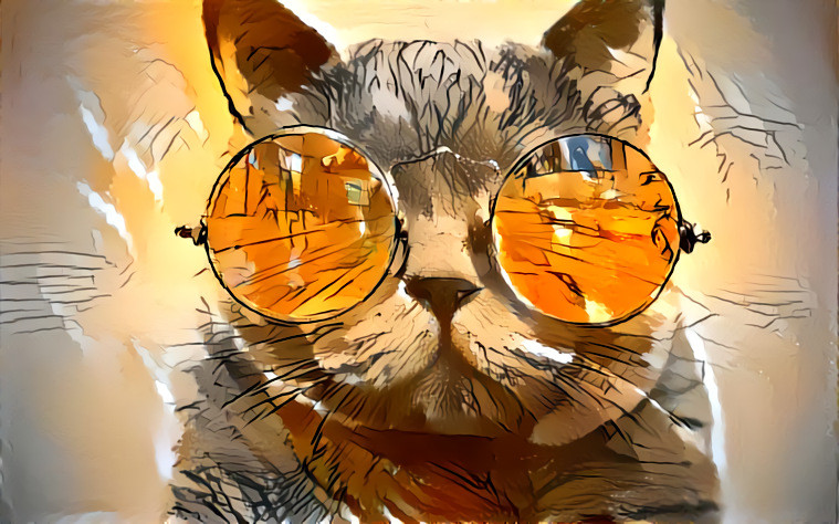 Cat with Glasses