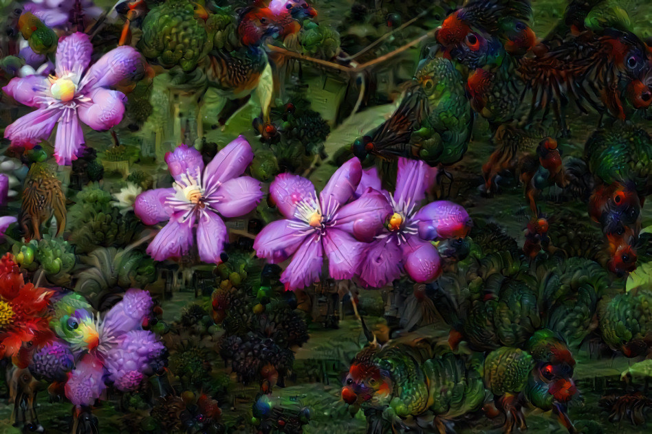 Clematas