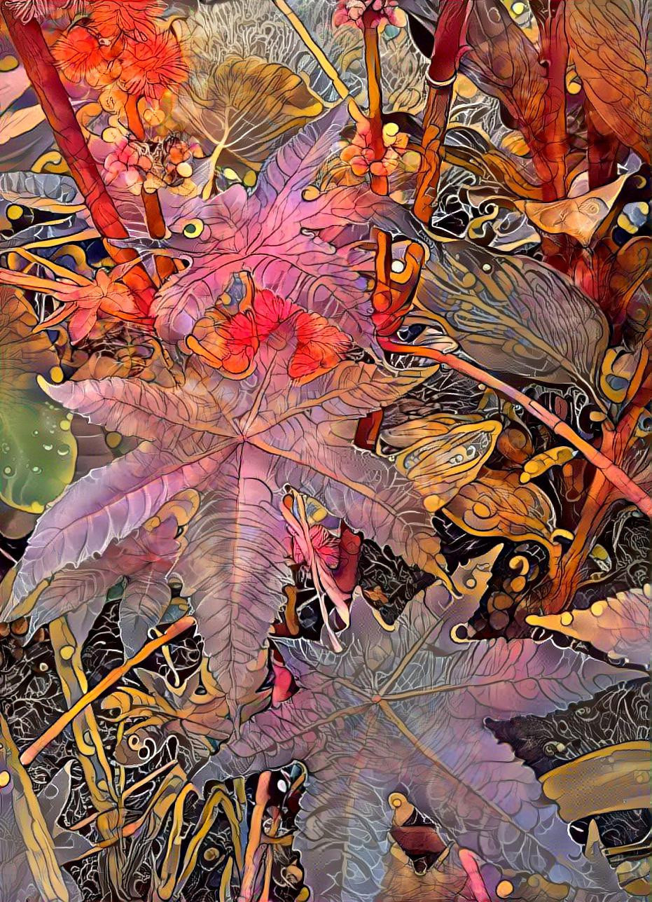 Castor Plant