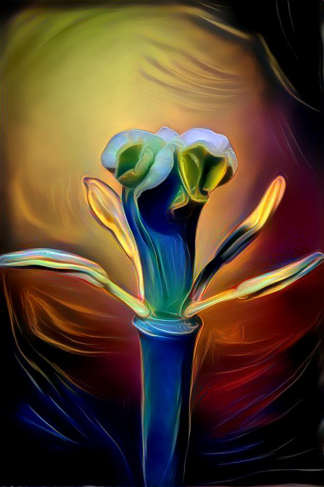 Tulip