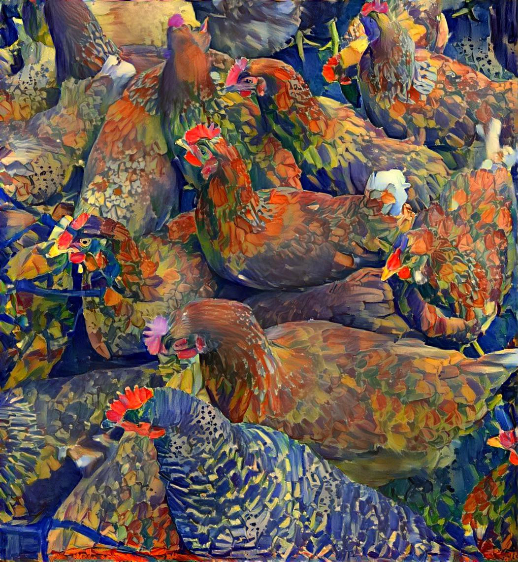 Chickens