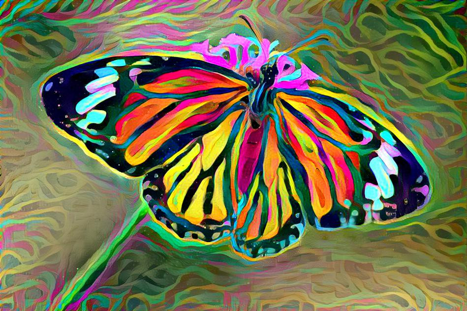 butterfly