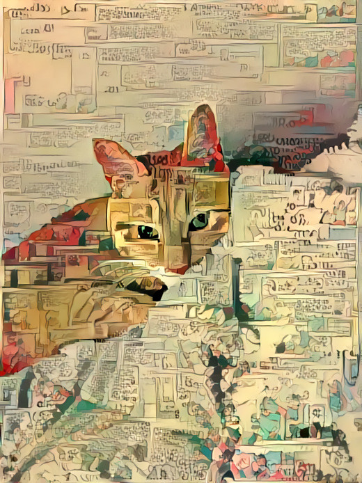 Cartoon in Cat