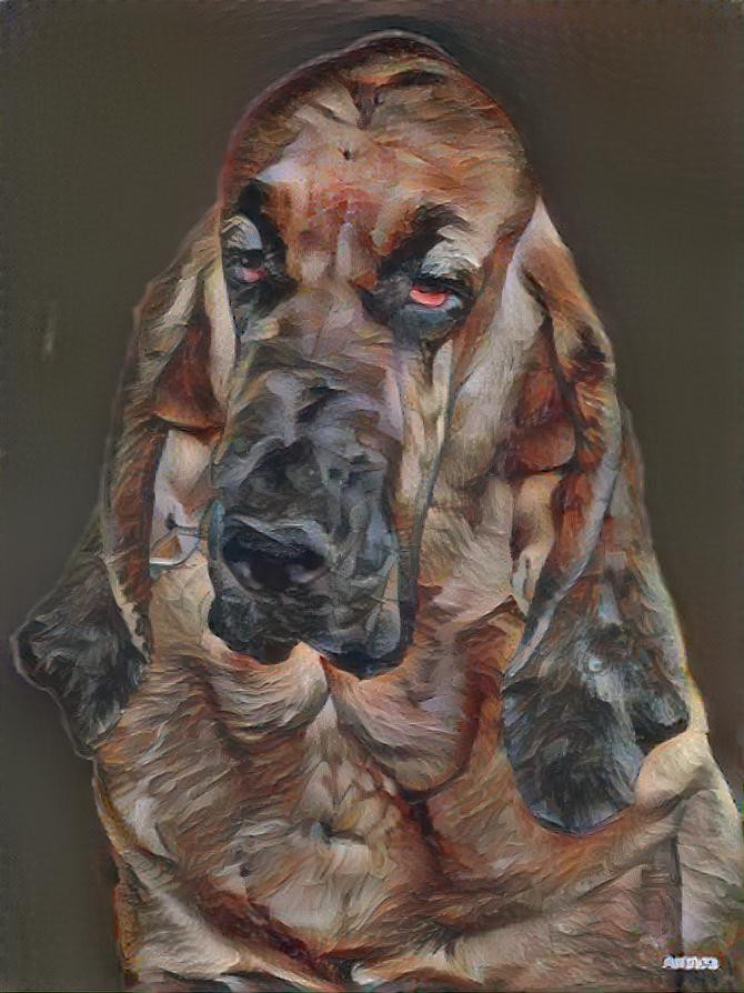 My bloodhound girl Carmen