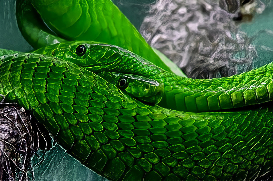 Green Mamba