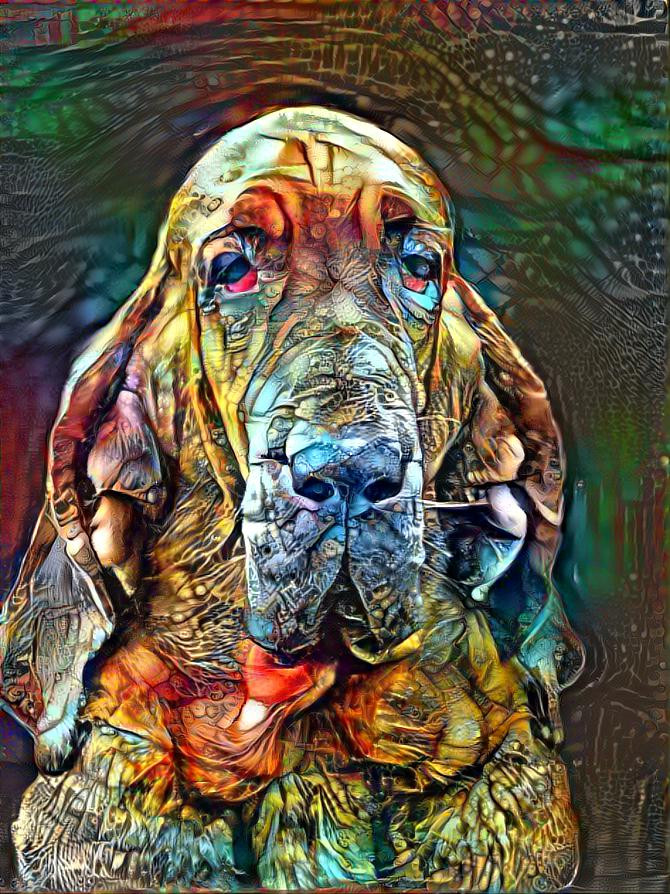 MY BLOODHOUND GIRL KLARA