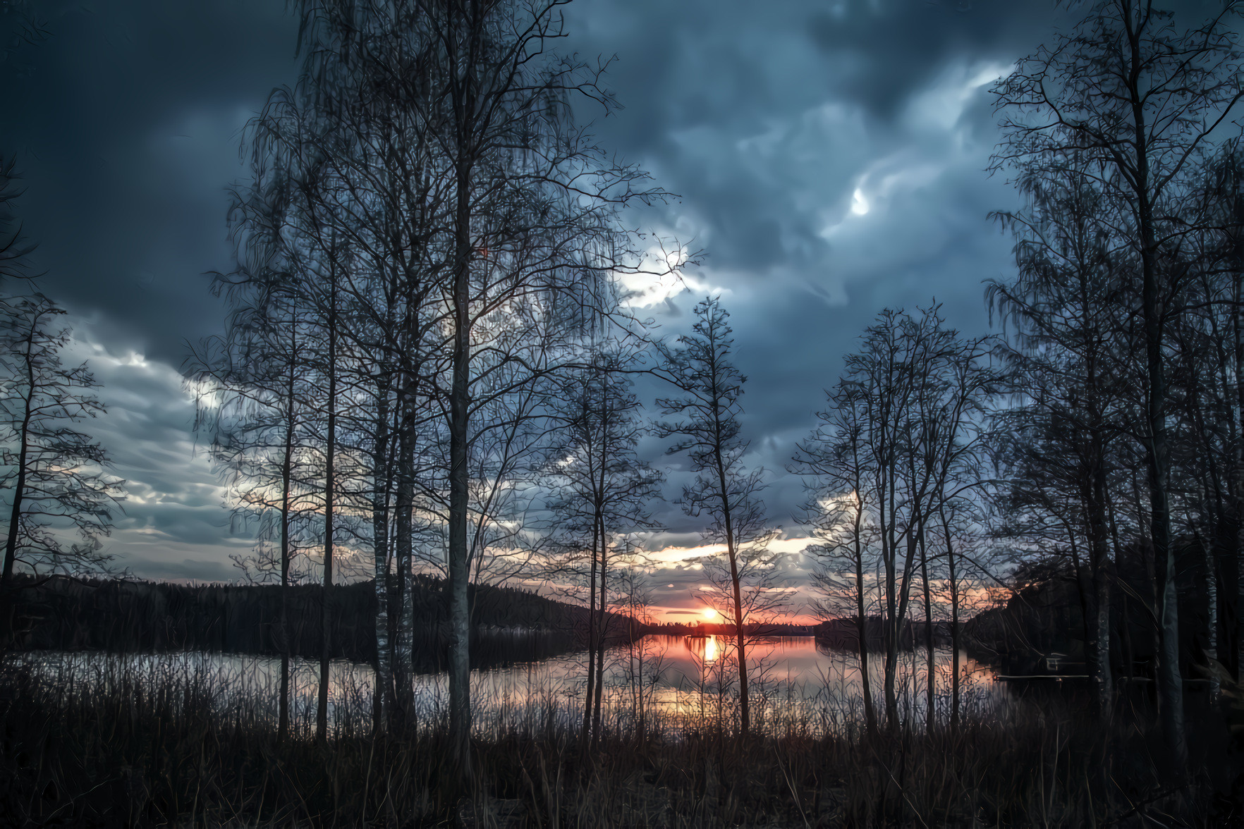 Trees, Lake, Sunset