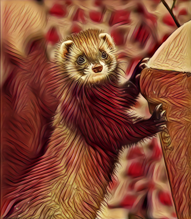 Magenta Mustelid