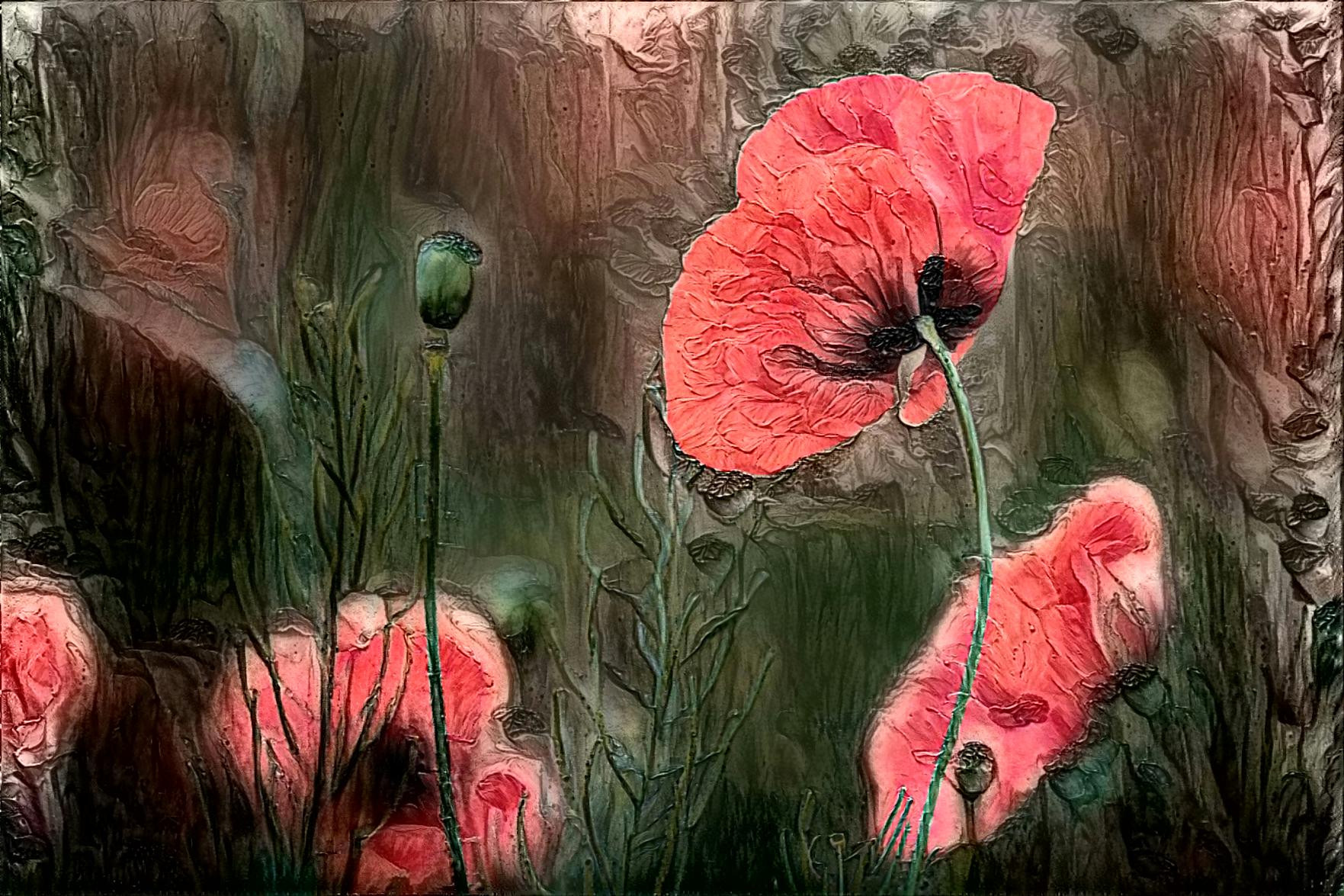 Poppies in the Forest - 01