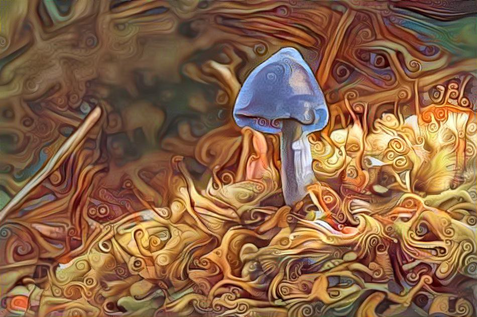 Blueshroom