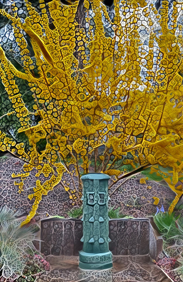 forsythia peacock