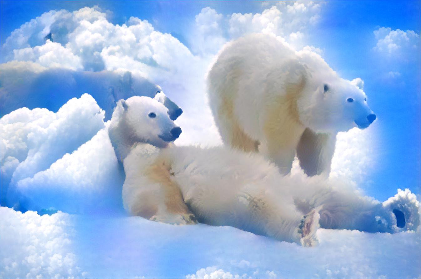 Cloud bears