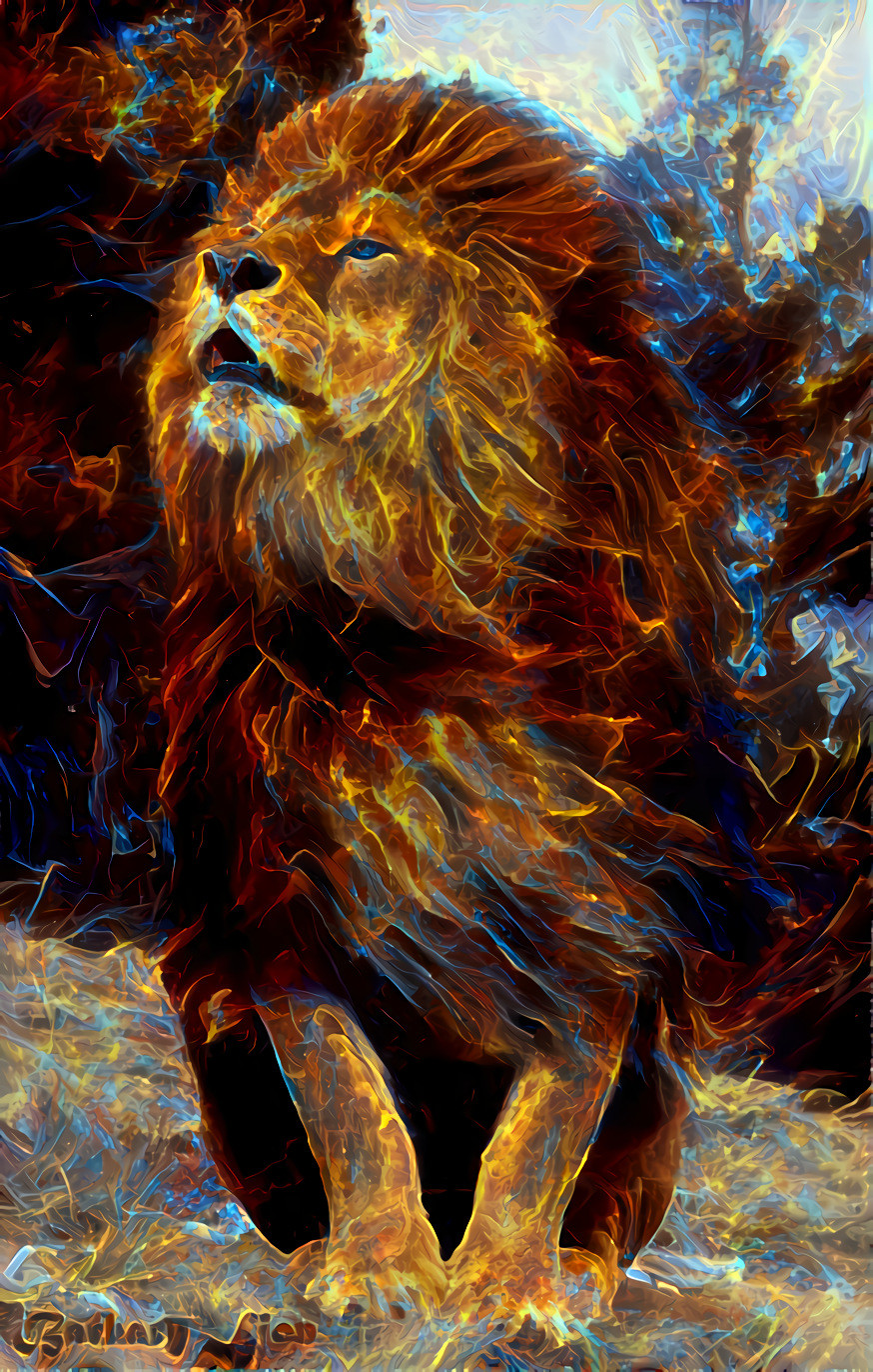 lion