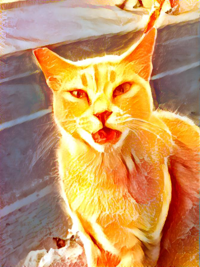 Lemony Cat