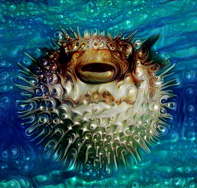 Puffer Fish