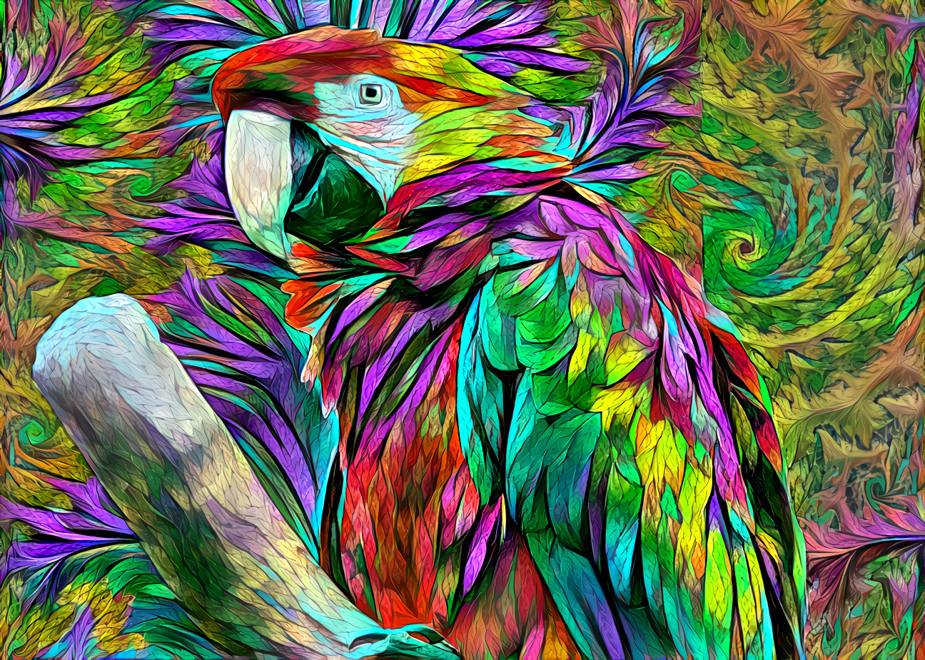 Macaw Parrot