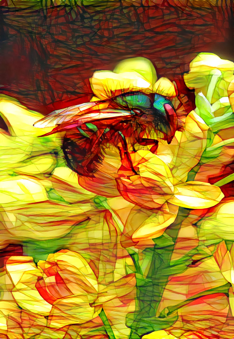 Berberis_sp flame art 8