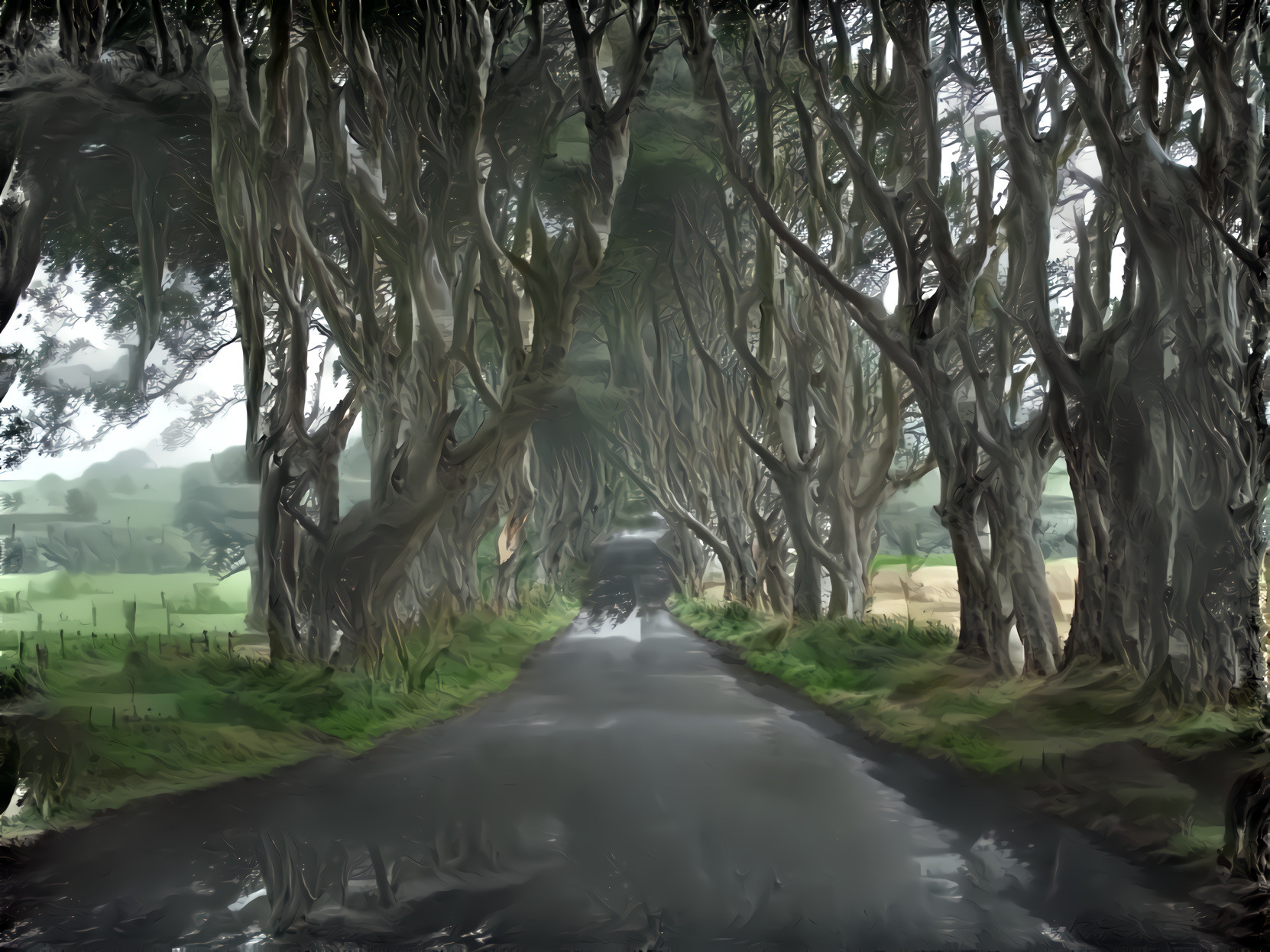 The Dark Hedges of Ireland