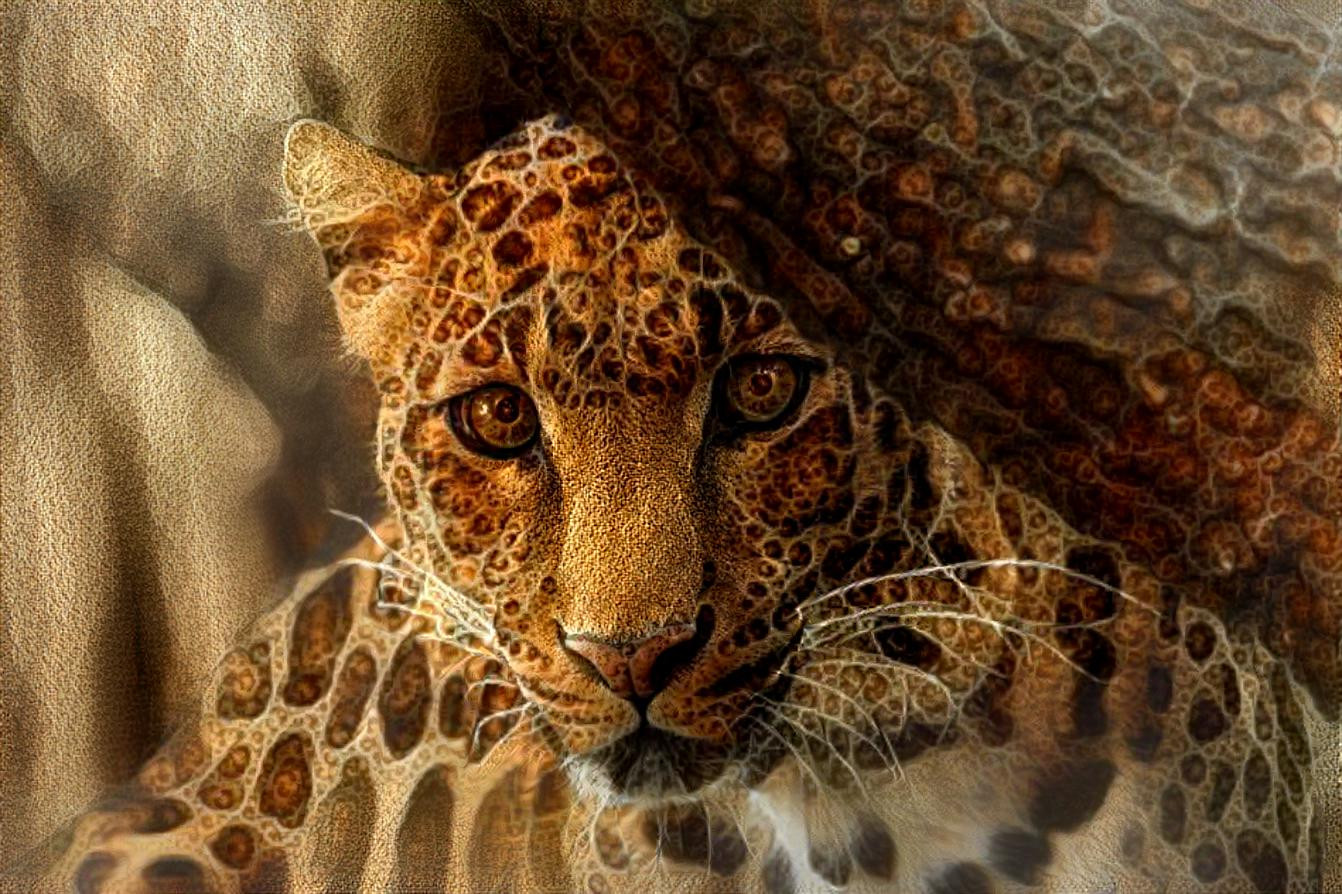 Leopard  [1.2MP]