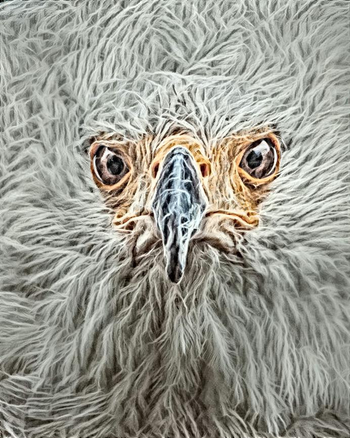 Eagle