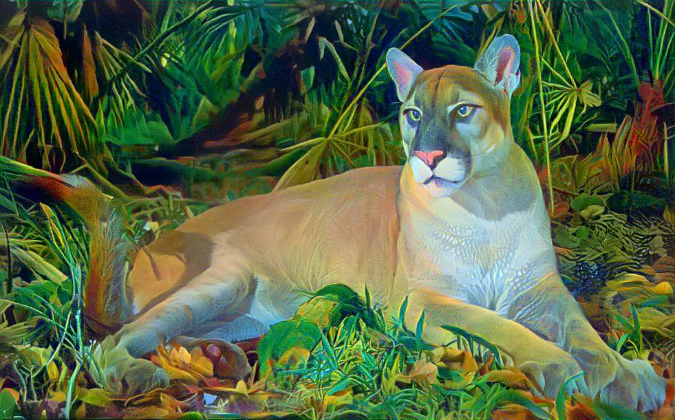 Florida Panther