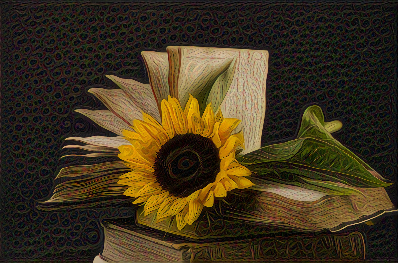 Old Books, New Sunflower