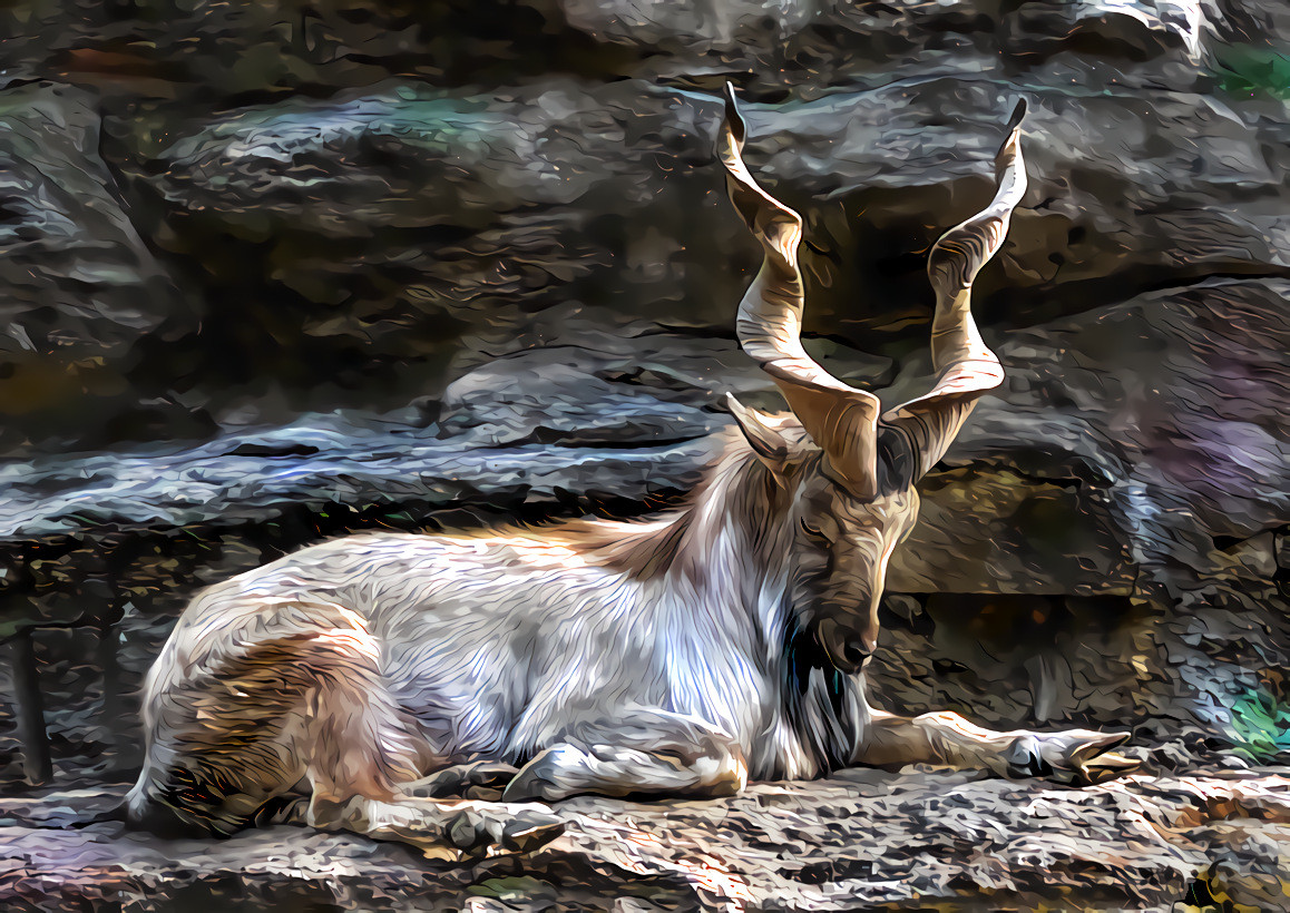 Markhor