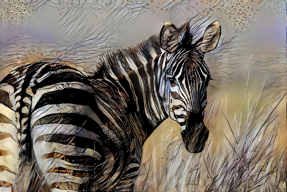 Redreaming Extinction Series: Zebra