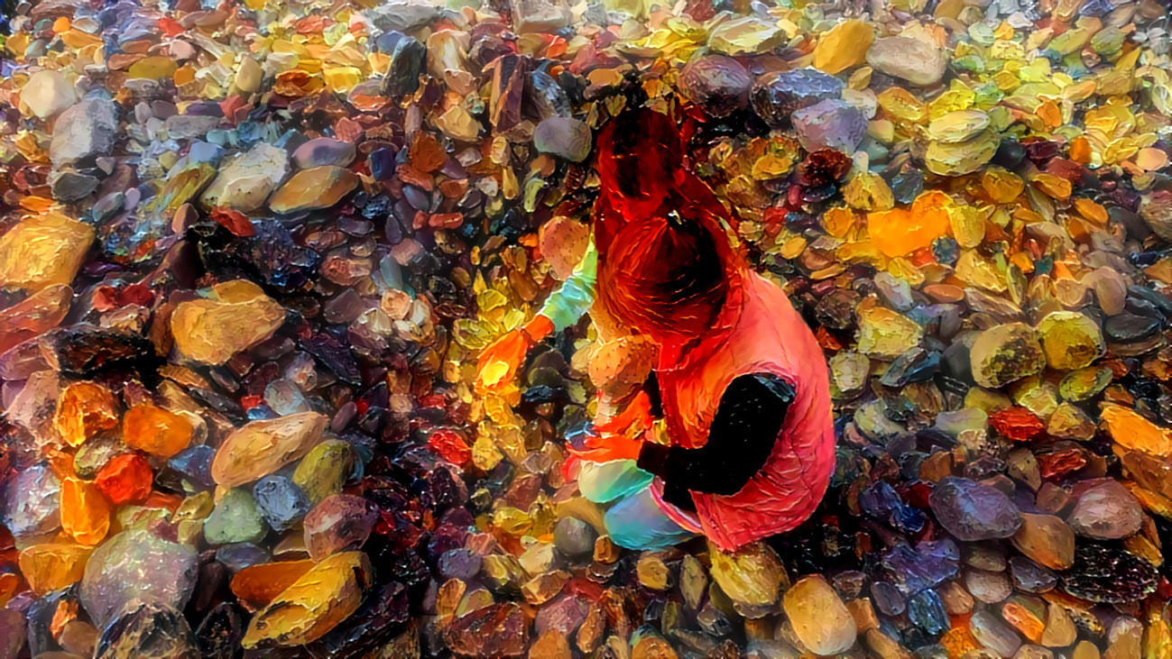 My kids enjoying a stony beach