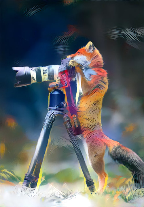 Fox focusing