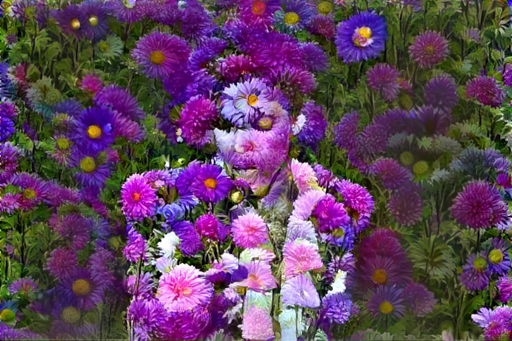 prince, purple flowers